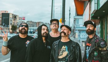 Zebrahead